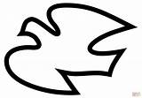 Simple Dove Outline coloring Page  Free Printable Coloring Pages sketch template