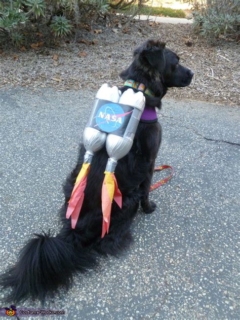 Rocket Dog Costume