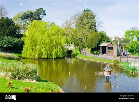 Spring in Golders Hill Park , Golders Green , ornamental pond & hump ...