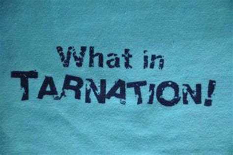 what in tarnation? written on a towel