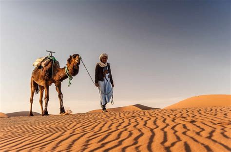 Camel Riding In The Sahara: A Morocco Desert Tour - Moroccan Journeys