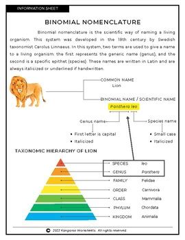 BINOMIAL NOMENCLATURE - Information Sheet - Reading Comprehension & Worksheet