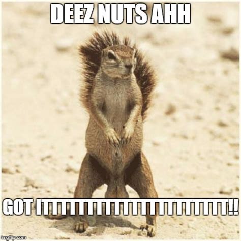 DEEZ NUTS Memes - Imgflip