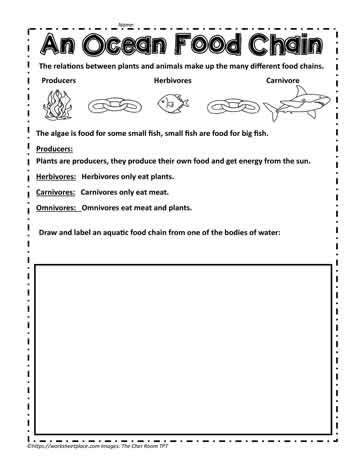 Ocean Food Chain Worksheet