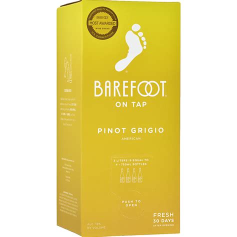 Barefoot Pinot Grigio Box - Partybarn