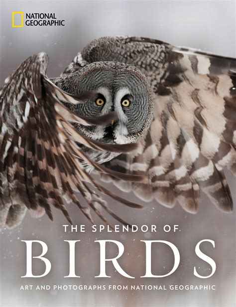 Review: The Splendor of Birds: Art and Photographs From National Geographic