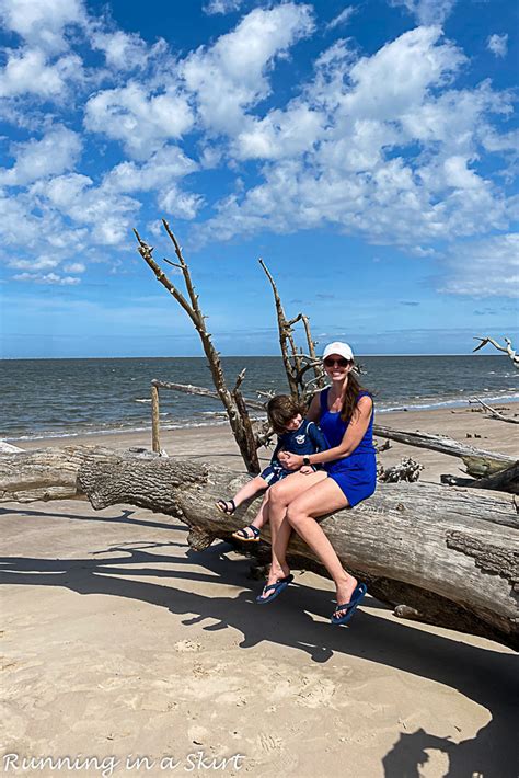 Boneyard Beach Florida - Big Talbot Island State Park « Running in a Skirt