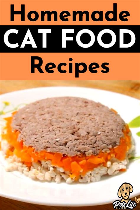 Homemade Cat Food Recipes easy | Homemade cat food, Healthy cat food, Homemade cat treats recipes