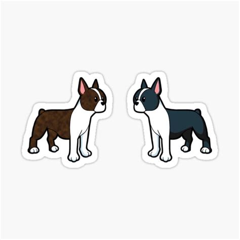 Boston Terrier Stickers | Redbubble