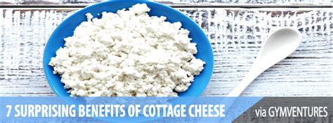 7 Surprising Benefits of Cottage Cheese - Gymventures