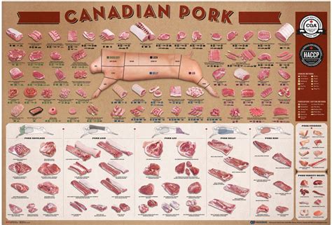 Printable Pork Cuts Chart