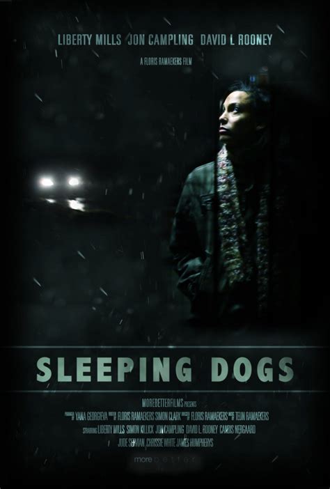 Sleeping Dogs (2013)