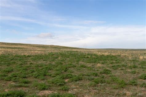 Spring Steppe of Kazakhstan Stock Image - Image of meadow, farmland ...