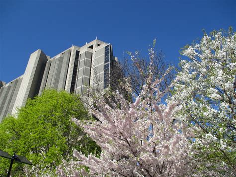 Exploring Robarts Library at University of Toronto