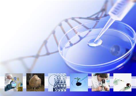 Overview of Associate Degree Programs in Biotechnology