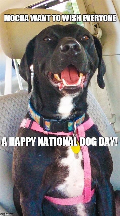 National puppy day Memes