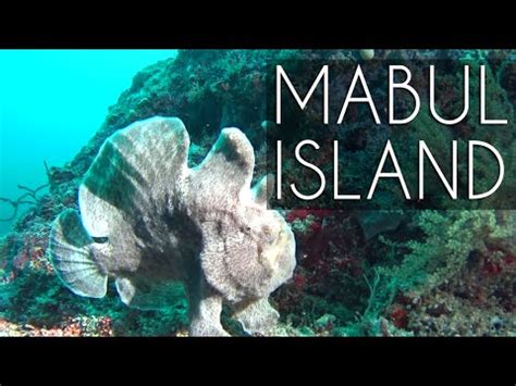 Scuba Diving @ Mabul Island, Malaysia #ProveYourself - YouTube