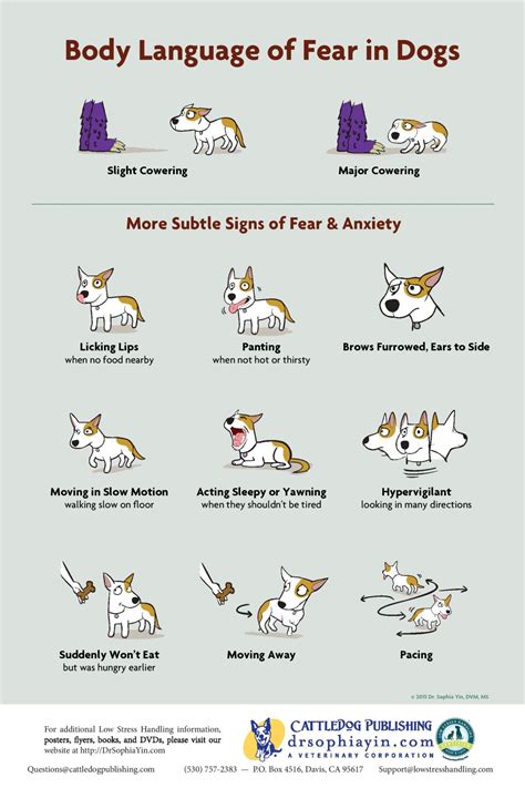 Body Language of Fear in Dogs - Poster (1)-page-001 - Westport ...