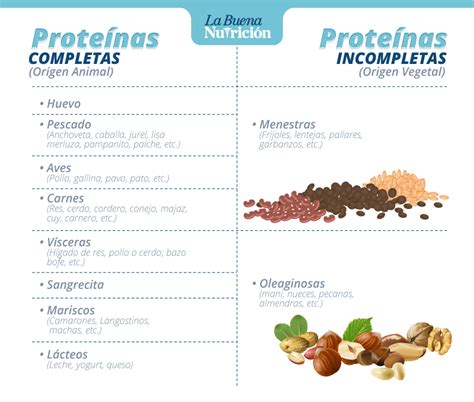 Conoce Los Alimentos Que Contienen Proteínas | La Buena Nutrición