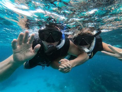 Snorkeling Tour Varadero - All You Need to Know BEFORE You Go - Updated ...