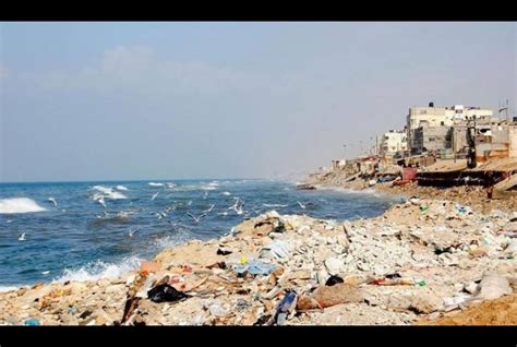 Gaza Youth Launch Campaign to Highlight Growing Pollution Crisis ...