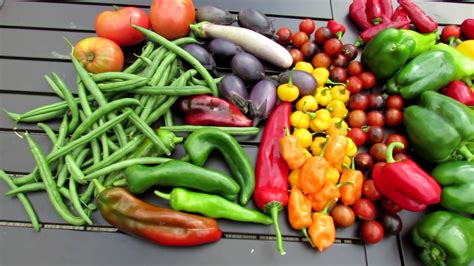 Late September Garden Tour and Harvest: A Look at My Cool Weather Crops! - YouTube