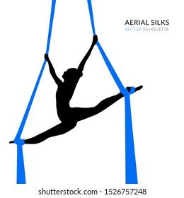 13,062 Aerial Silks Images, Stock Photos, 3D objects, & Vectors ...