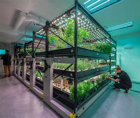 Indoor Vertical Farming Solutions