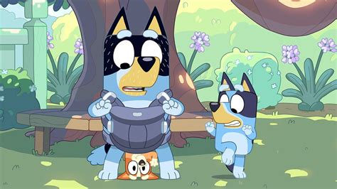 Bluey: Every Episode Ever : ABC iview