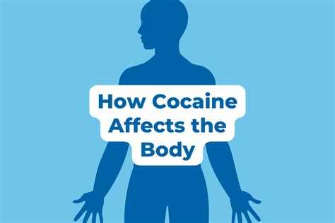 What Does Cocaine Do to Your Body? | Health Effects of Drug Use