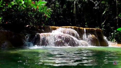 #jamaica Turtle River Falls Waterfalls Ocho Rios Jamaica Relaxing background - YouTube