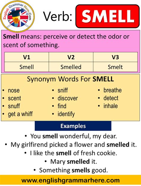 Smell Past Simple, Simple Past Tense of Smell Past Participle, V1 V2 V3 Form Of Smell Smell me ...