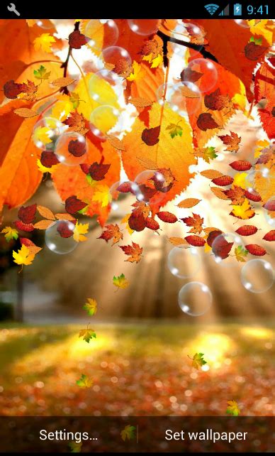 Top 6 Android Autumn Live Wallpapers to Enjoy Falling Leaves