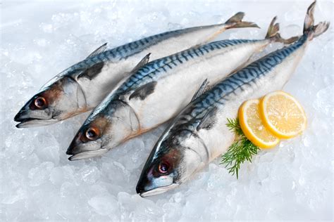 MACKEREL, 21-28 OZ WHOLE HEAD-ON RAW FROZEN IMPORTED NORWAY – 22 LB – Food Innovations