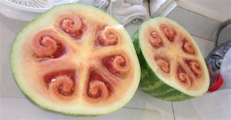 These Beautiful Watermelon Patterns Are Driving Everyone Crazy | Bored ...