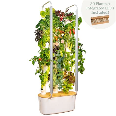 Indoor Wall Garden With Grow Lights | lupon.gov.ph