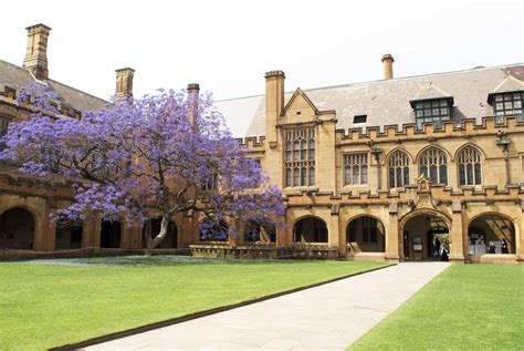 Creating a new staff intranet at University of Sydney