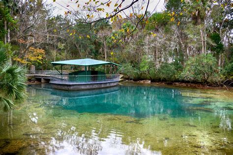 Springs at Homosassa | Florida State Parks