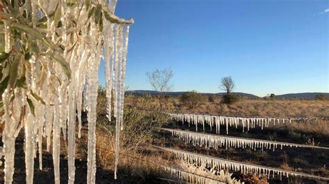 Winter freeze in Australia as bitter cold snap hits east coast | World News | Sky News