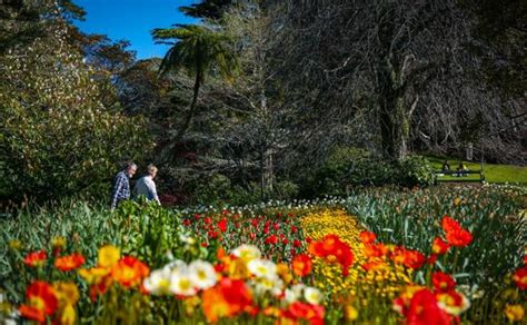 Wellington Botanic Garden trails - WellingtonNZ