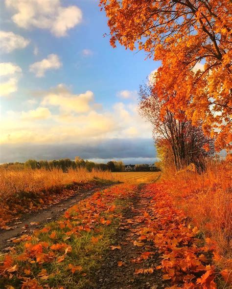 Country Life, Country Roads, Day Van, Thanksgiving Greetings, Late Autumn, Weather Seasons ...