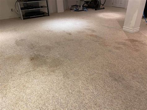 Carpet & Upholstery Cleaning - Core Cleaning