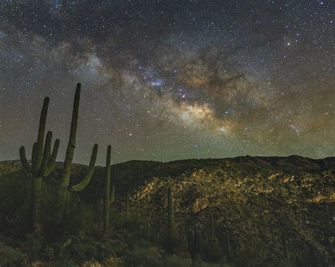 The Sonoran Desert of Southern Arizona at night! : arizona