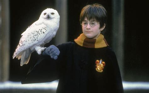 In Harry Potter and the Philosophaurus’s Stones, we see that Harry gets an owl named Hedwig ...