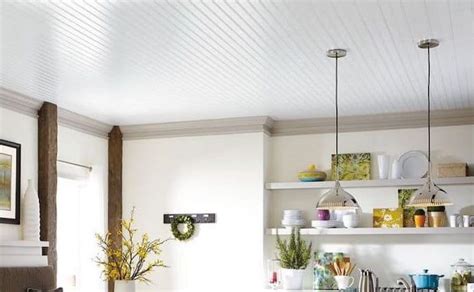 10 Most Popular Materials To Replace Your Mobile Home Ceiling • Mobile Home Living