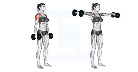 Dumbbell Standing Lateral Raise - Guide, Benefits, and Form