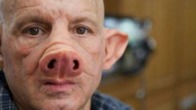 Scientists Have to Make World's First Human-Pig! - Technology,Health ...