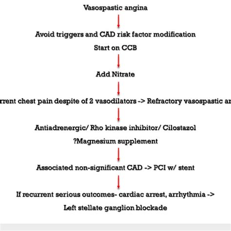 Vasospastic and refractory vasospastic angina treatment CAD-Coronary ...