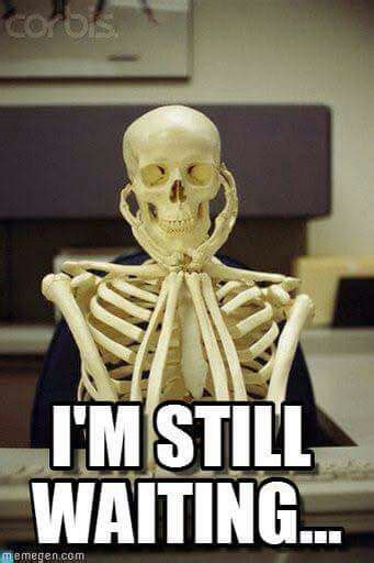 Still Waiting | SKELETON ANIMO Amino