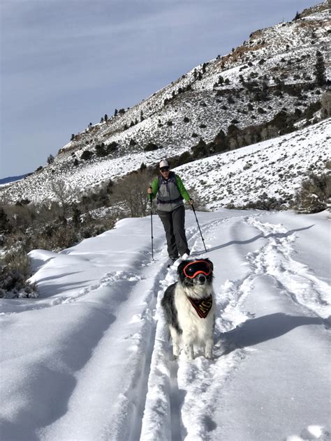 Nordic Trails Cross-Country Skate Skiing | Gunnison + Crested Butte